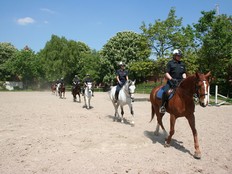 Ausbildung auf dem Reitplatz