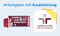 Audit Beruf und Familie