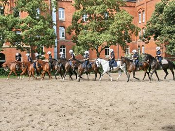 Ausbildung auf dem Reitplatz