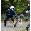 Polizeihund im Einsatz